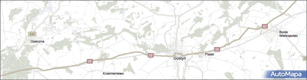 Stary Gostyń